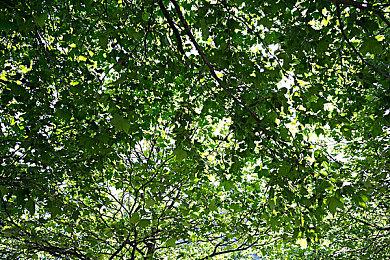 《命运2》X《巫师》联动 释出新细节截图及创作过程